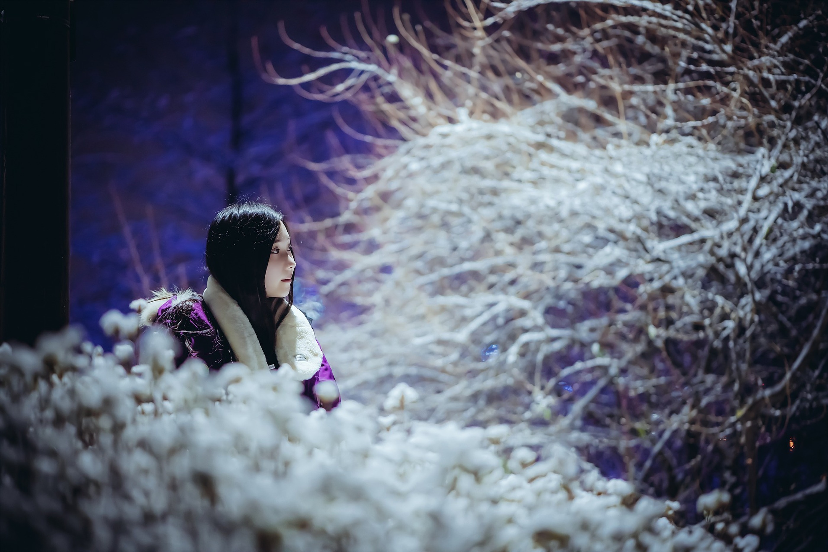 图片[1]-Bambi – NO.016 Lacerta Photography [101P]-XikXak